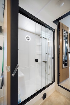 Shower, towels, toilet paper