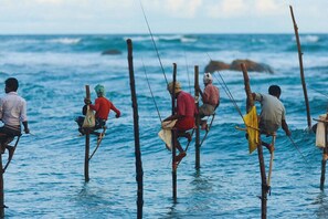Fishing