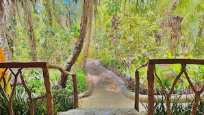 รูปภาพที่ไม่ได้จัดประเภท, 3 จาก 162, ปุ่ม