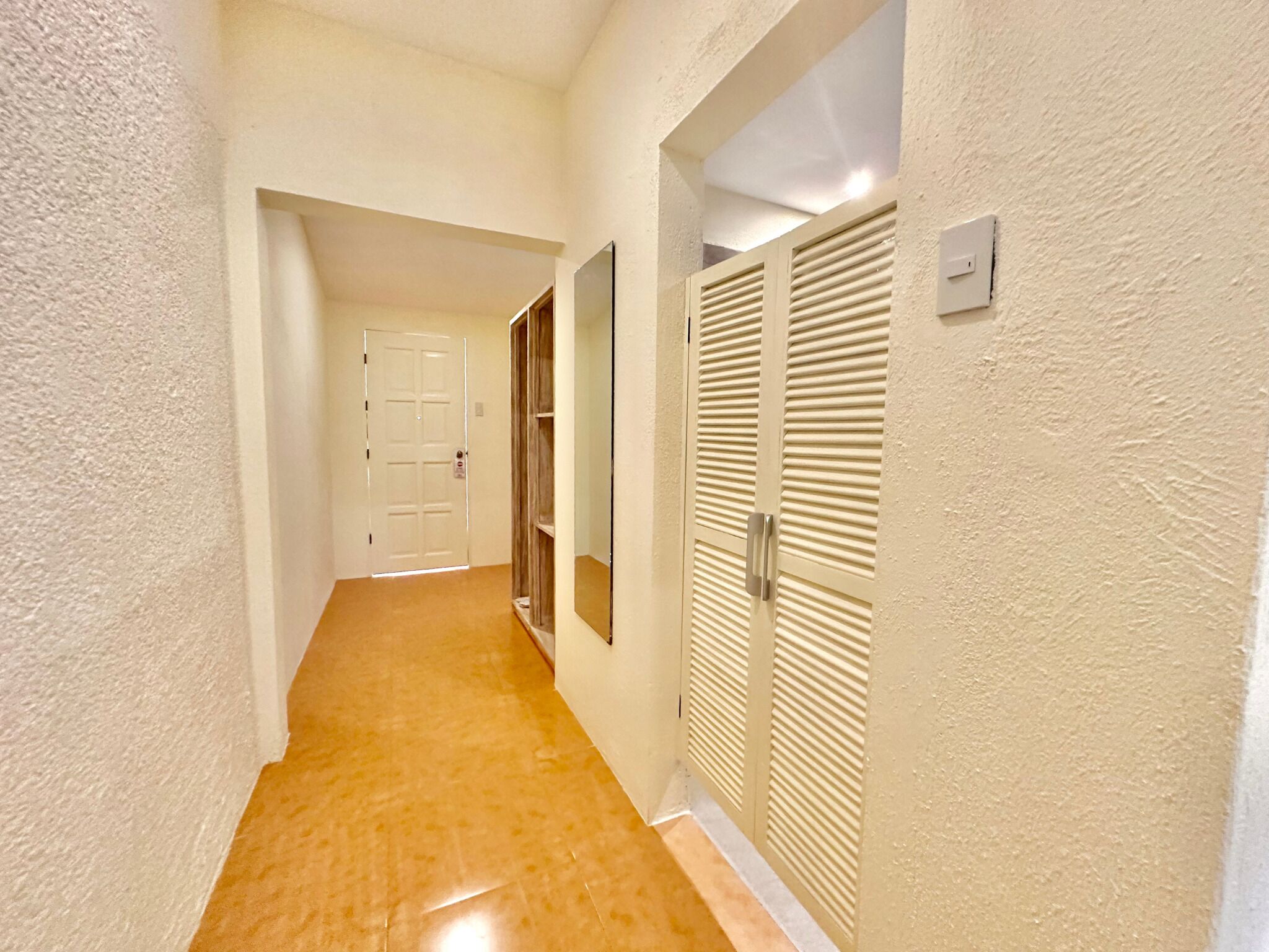 A hallway with a carpeted floor, a white door, and a closet with louvered doors.