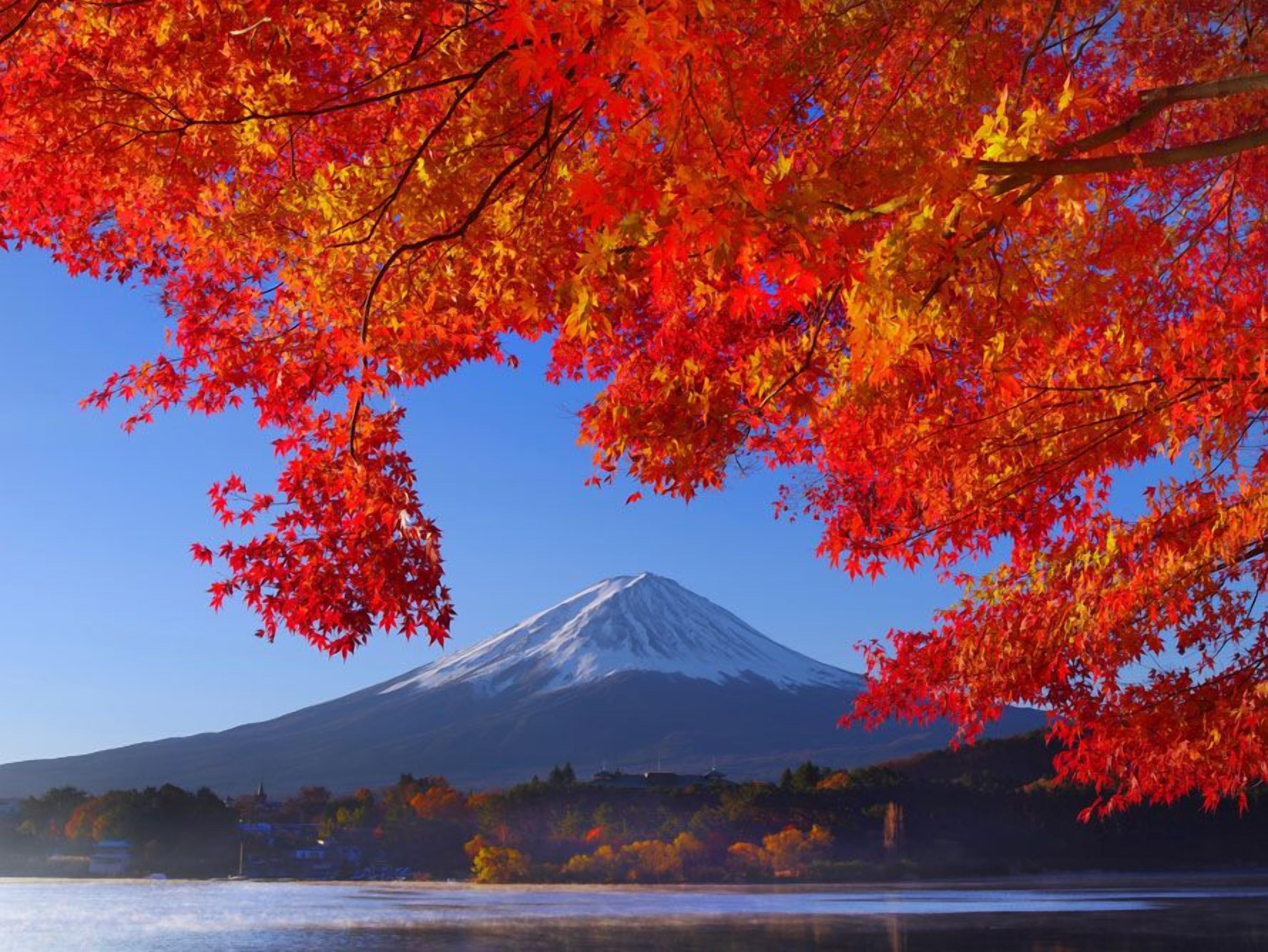 湖泊