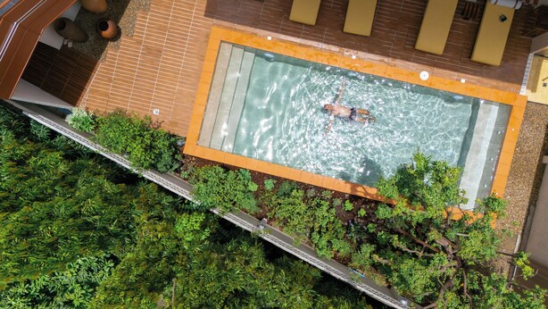 Vista aérea de una piscina en la azotea rodeada de exuberante vegetación.