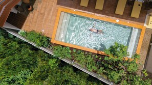Vista aérea de una piscina en la azotea rodeada de exuberante vegetación.