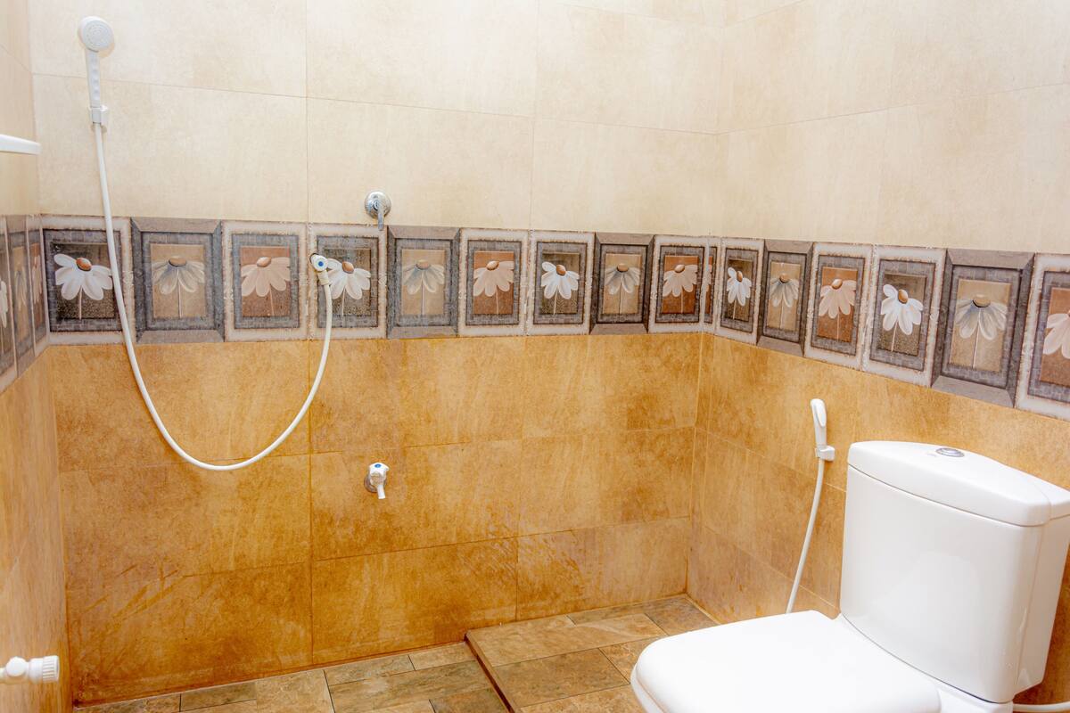 Shower, towels, soap, toilet paper