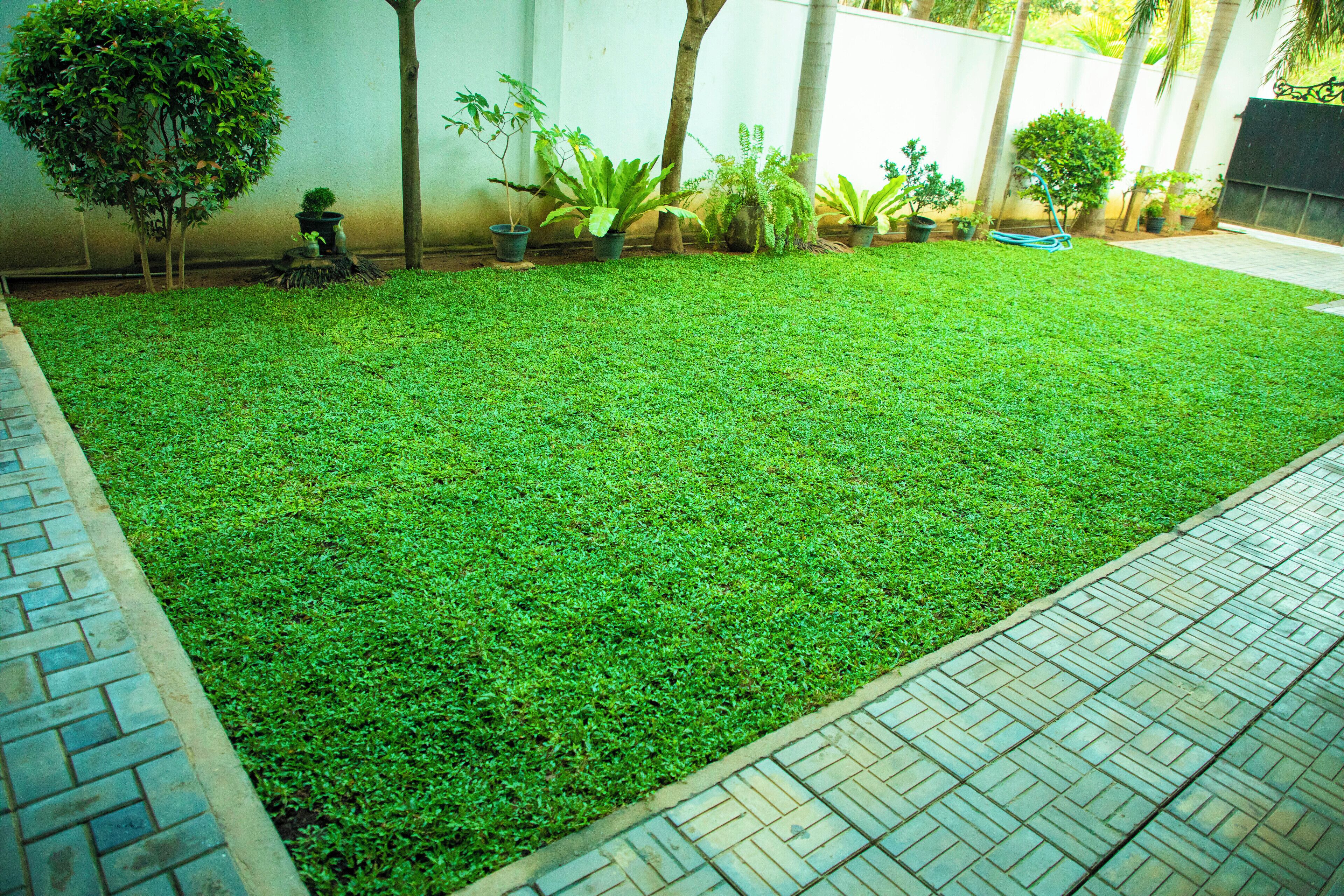 A well-maintained lawn with potted plants and a brick pathway.
