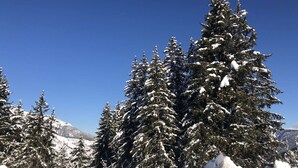 A snowy landscape with evergreen trees and a clear blue sky. - Cheval Blanc 32 - Crève Coeur (LES AVANCHERS VALMOREL)