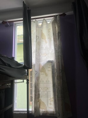 Basic Shared Dormitory, Garden View