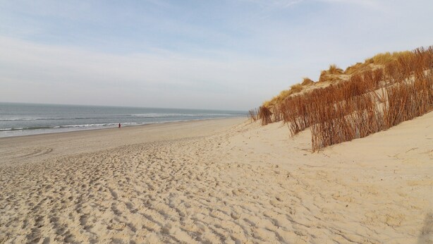 A sandy beach with dunes and a clear sky. - Safari Tent in Netherlands near Dunes & Sea (Hollum)