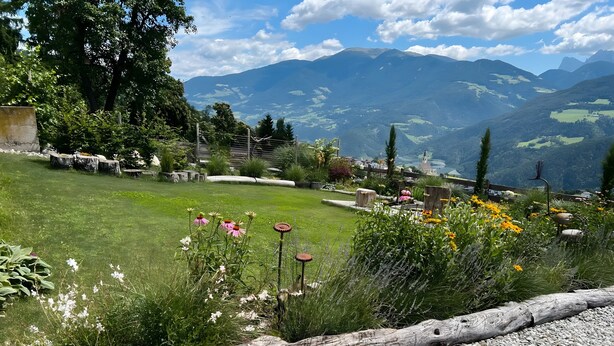 A garden with a variety of plants and flowers, a wooden log, and a view of distant mountains.