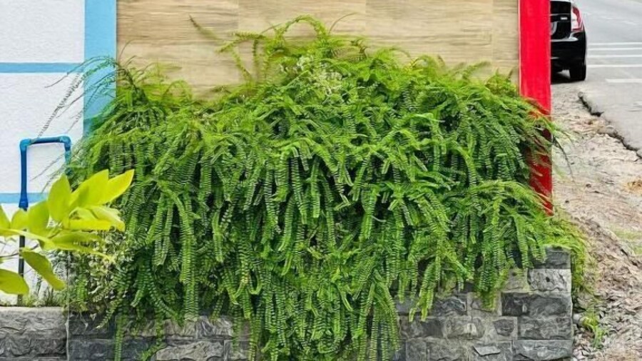 Othashy Airport Hotel