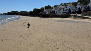 A sandy beach with footprints, a dog, and white buildings in the background.