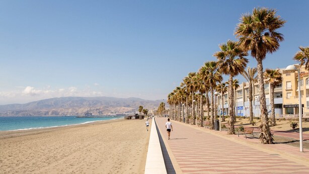 Una passeggiata lungomare con palme, cielo sereno e vista sull'oceano.