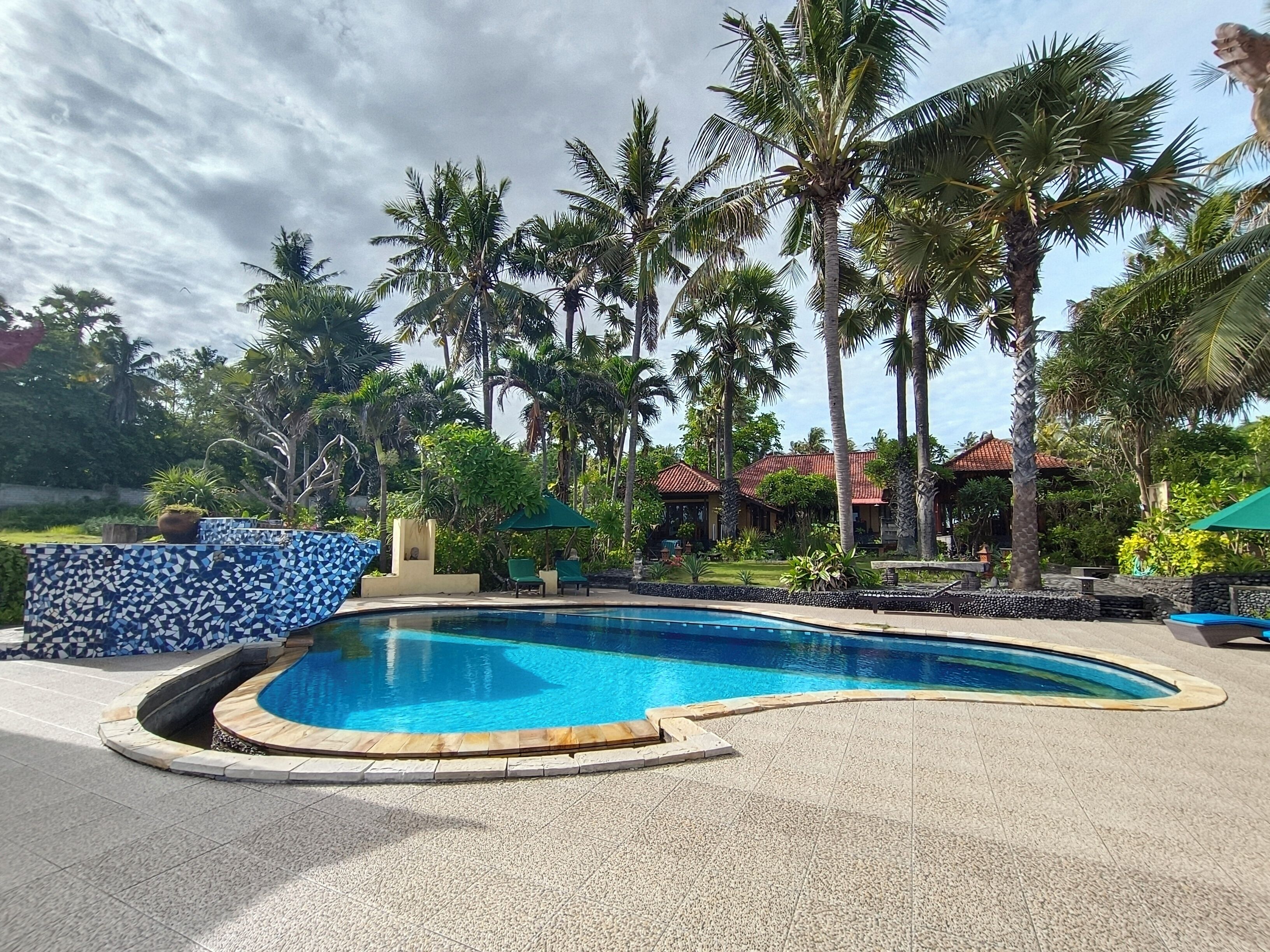 A swimming pool with a curved edge, surrounded by palm trees and a tiled deck.