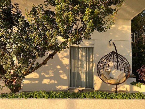 テラス / パティオ