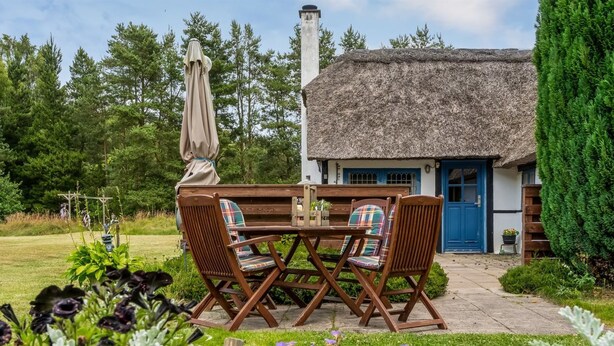 A thatched-roof cottage with a blue door, a wooden table with chairs, and a garden with various plants and flowers.