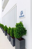 Un edificio moderno con fachada blanca, un logotipo SeaRock y una fila de árboles siempreverdes en macetas ordenadas.
