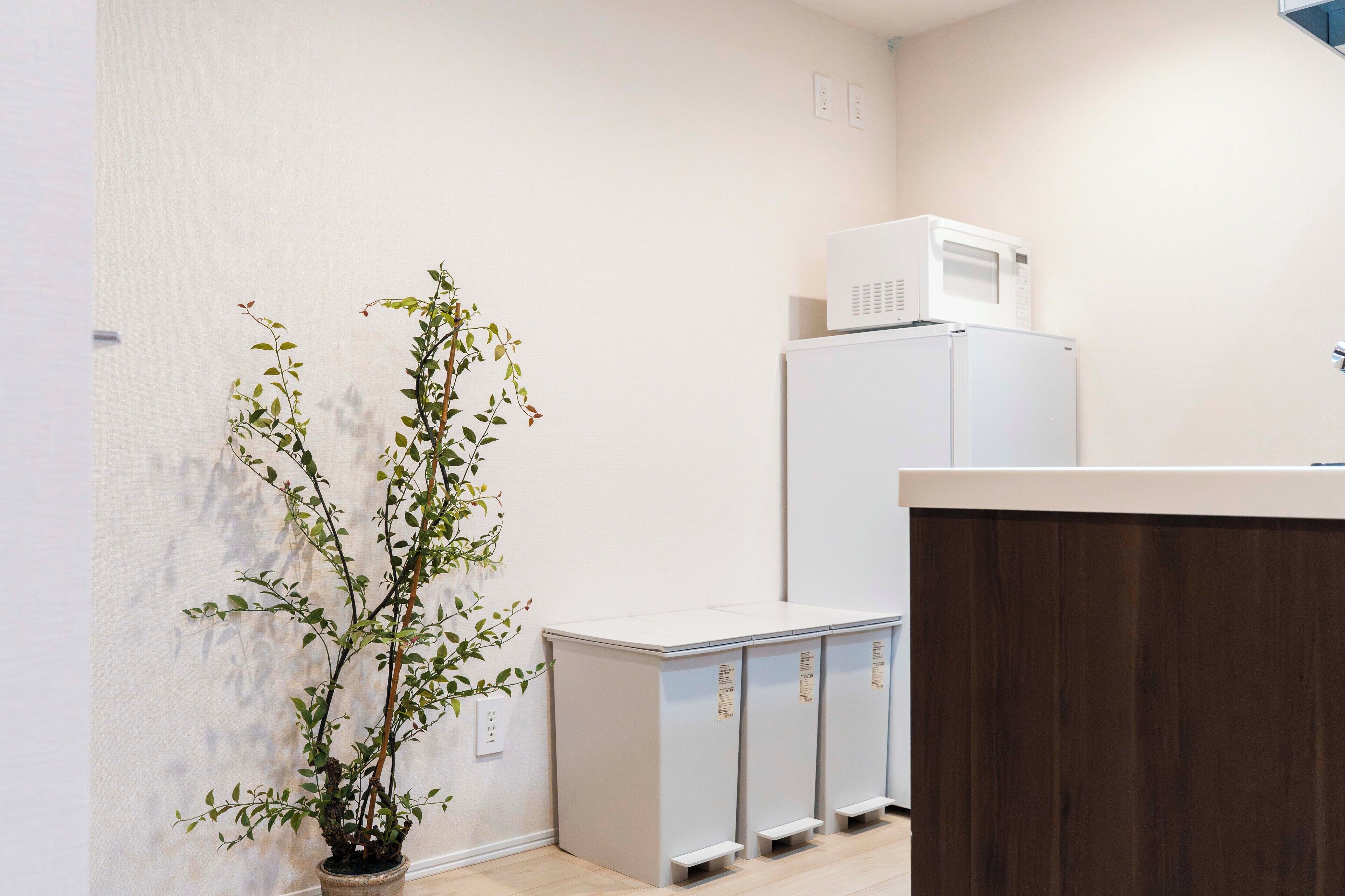 A compact kitchen with a microwave on top of a white refrigerator, a potted plant, and a wooden cabinet.