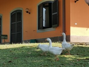 Exterior detail - Poggio Bassotto, your peaceful retreat near the heart of Rome (Monte Caminetto)