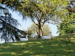 المنطقة المحيطة بالمنشأة