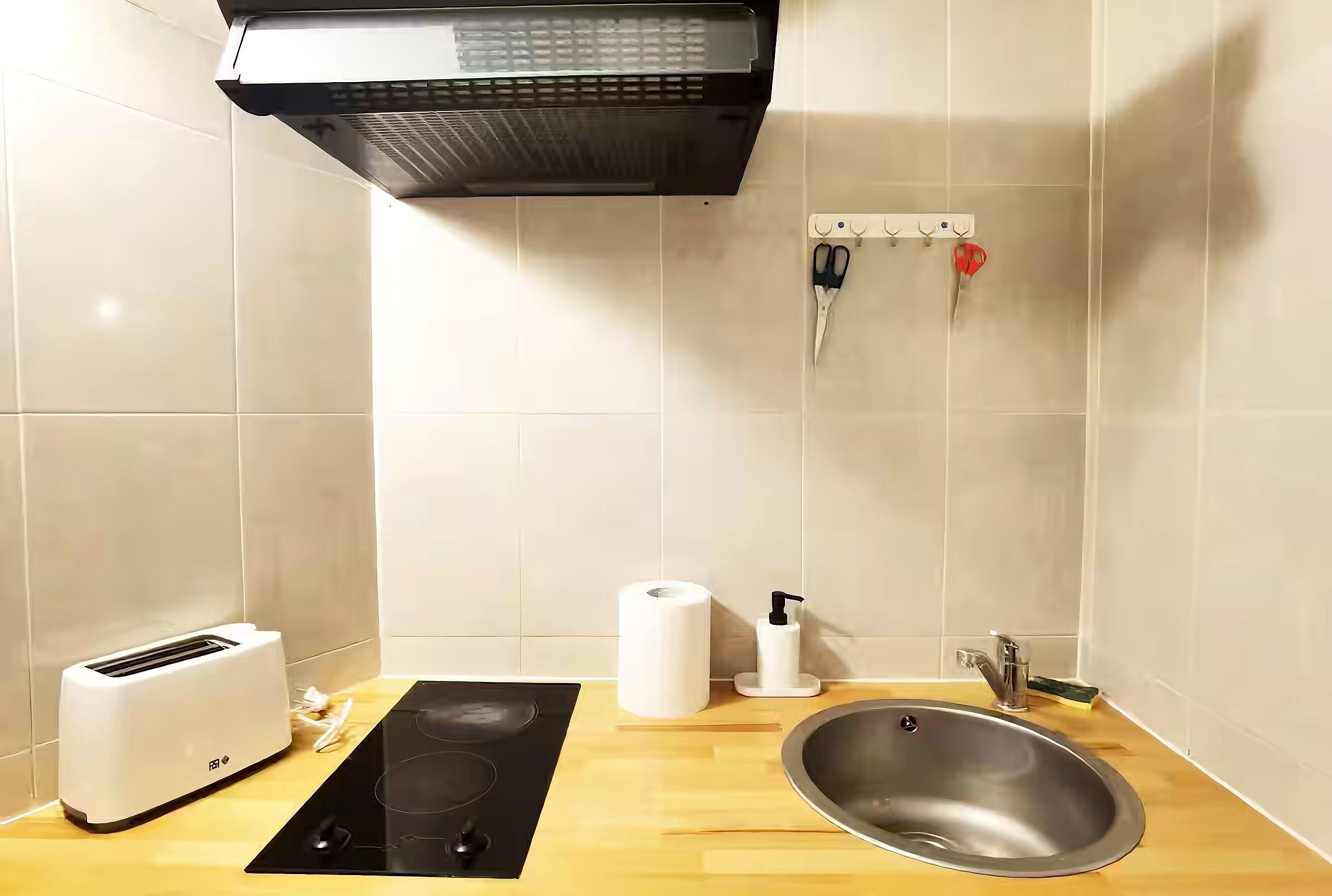 A kitchen with a toaster, a sink, a black induction cooktop, a roll of paper towels, and a soap dispenser.