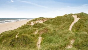 Une plage avec un sentier bordé d’herbe qui mène aux dunes.