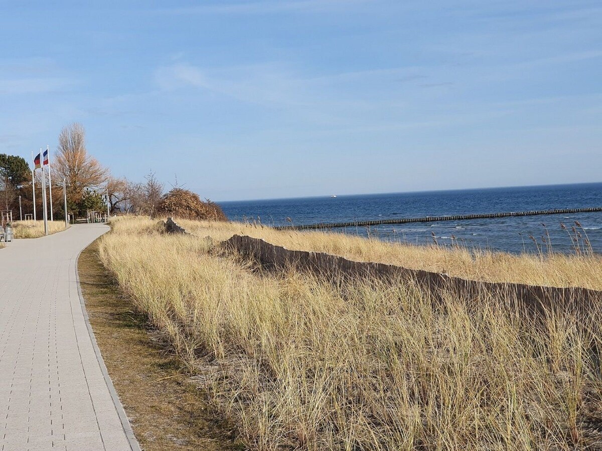 Imagen de perfil del propietario o de la propietaria