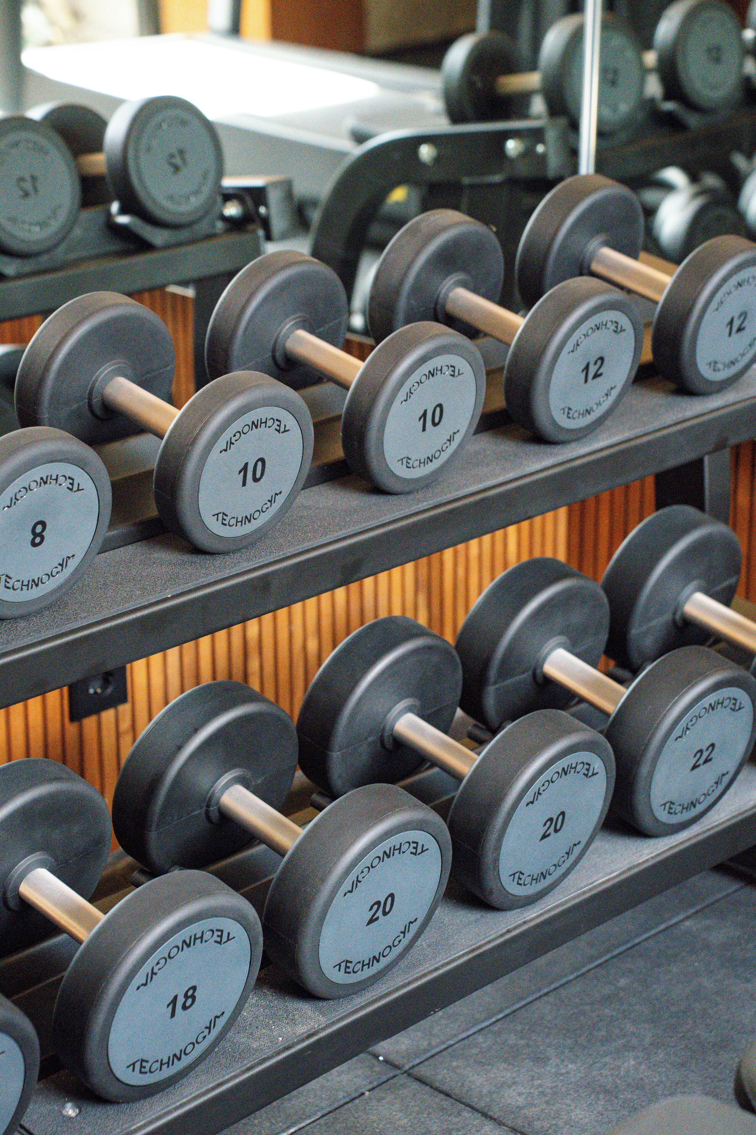 A rack of dumbbells with weights labeled from 8 to 22.