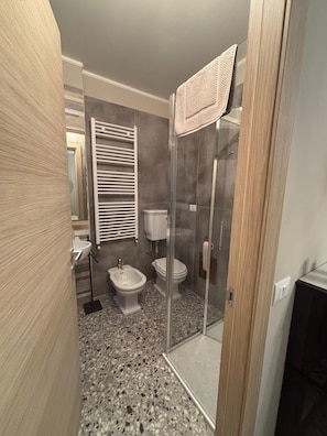 Shower, hair dryer, bidet, towels