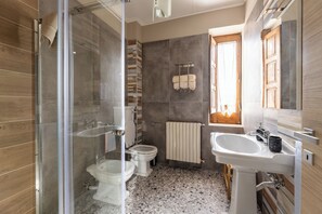 Shower, hair dryer, bidet, towels