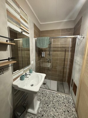 Shower, hair dryer, bidet, towels