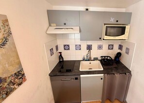 A compact kitchen with a microwave, sink, and dishwasher. - La Rive Gambetta La Bourboule 4 pers (La Bourboule)