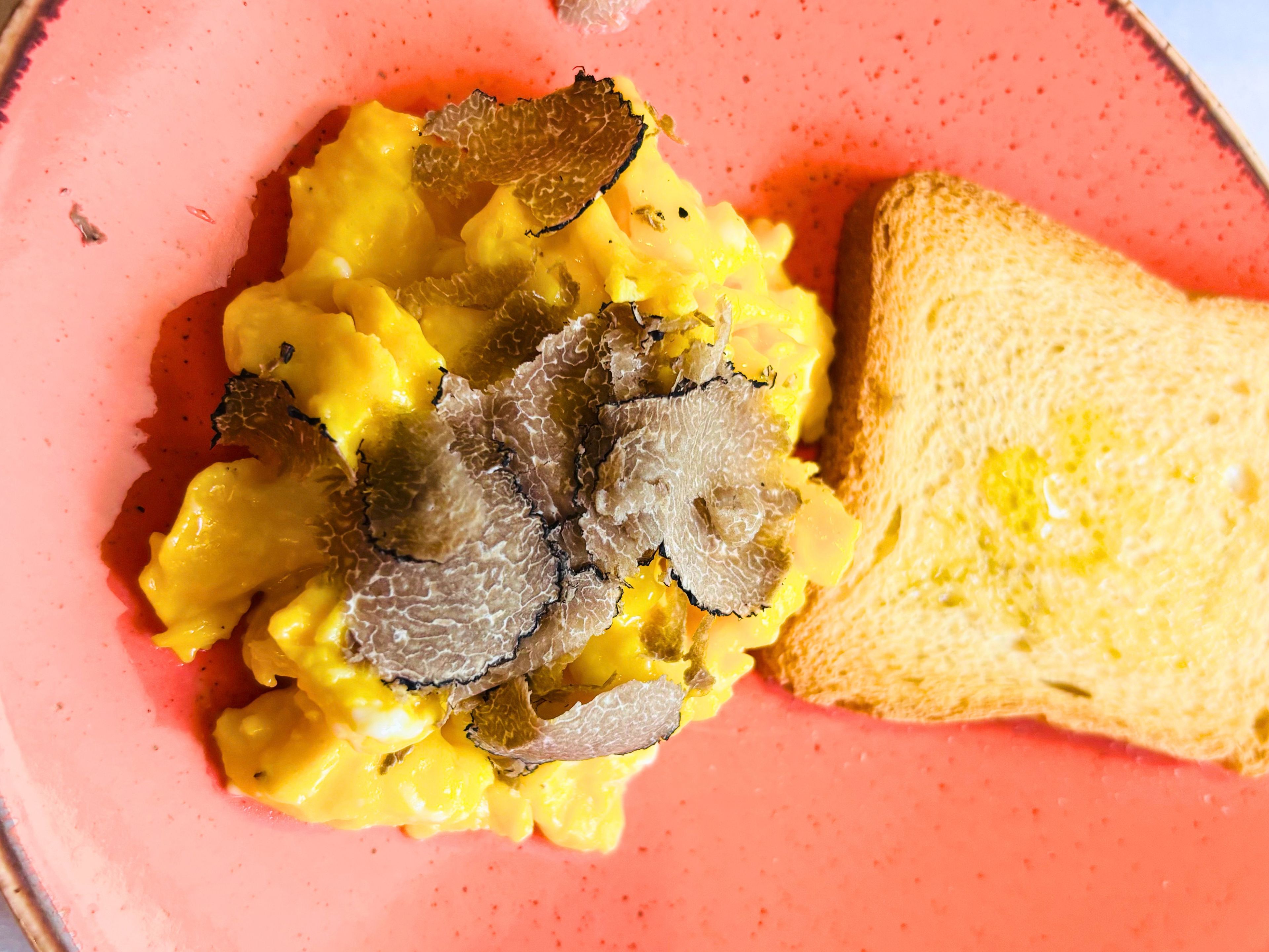 Scrambled eggs with truffle slices and toast on a pink plate.