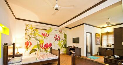 Bed and breakfast near Nizamuddin. New Delhi.