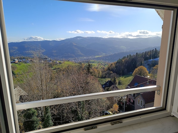 Interior - Spacious house for up to 14 people, tranquility between forest and mountain (Hohrod)