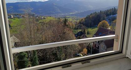 Grande maison, jusqu’à 14 personnes, calme entre forêt et montagne