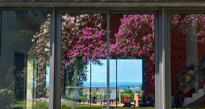 Maison moderne avec piscine intérieure et jardin à Cherbourg