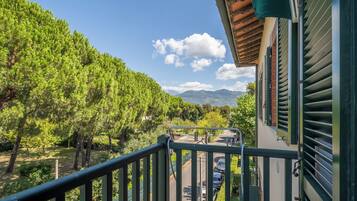 Apartment, Balcony, City View | Balcony