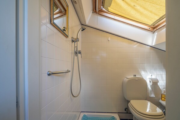 A small bathroom with a toilet, shower, and a skylight.