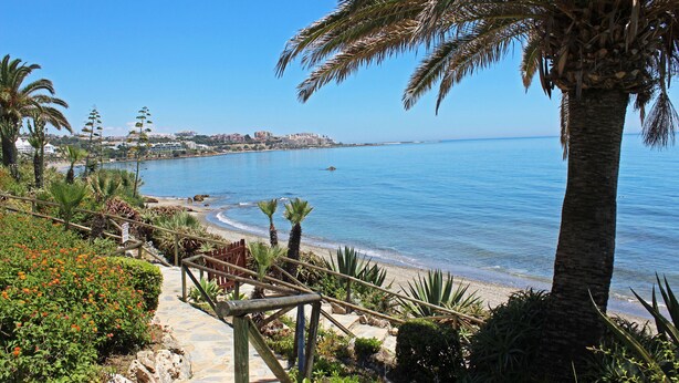 Une promenade en bord de mer bordée de palmiers, une plage et une vue sur la mer.