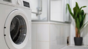 A front-loading washing machine in a bathroom with white tiles and a potted plant. - Big groups / Families / Exhibition (Duisburg)