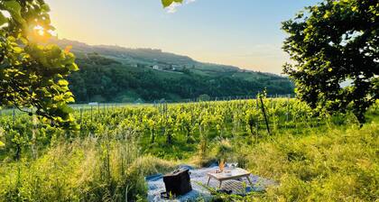 Cascina Piandamiane | Carlo suite, peaceful gateway in the Langhe countryside