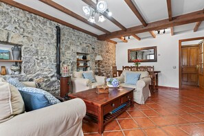 TV, fireplace, DVD player