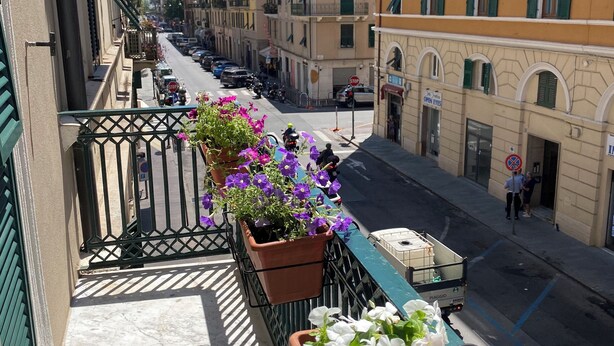 Un balcon orné de pots de fleurs, une vue sur une rue bordée de voitures garées, et des immeubles dotés de balcons et de fenêtres.