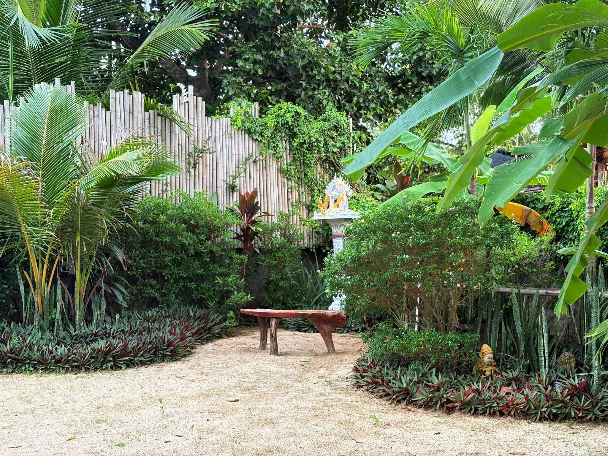 Un jardín con cerdaña de madera, un banco y diversas plantas tropicales.