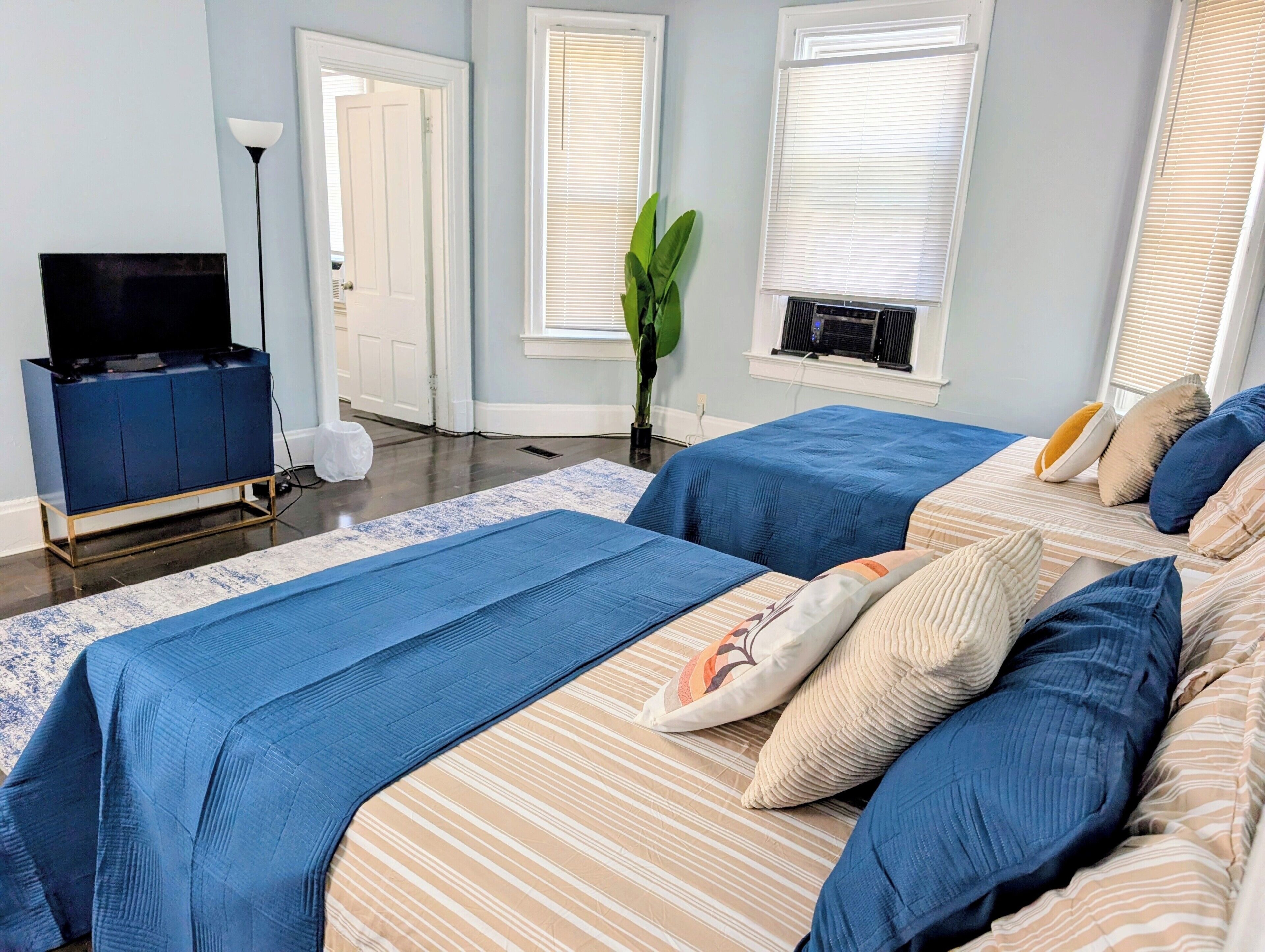 A bedroom with two beds, a television, and a plant.
