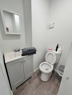 Hair dryer, towels