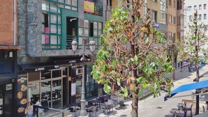 Vista de la calle con mesas al aire libre, un edificio con muchas ventanas y un árbol en primer plano.