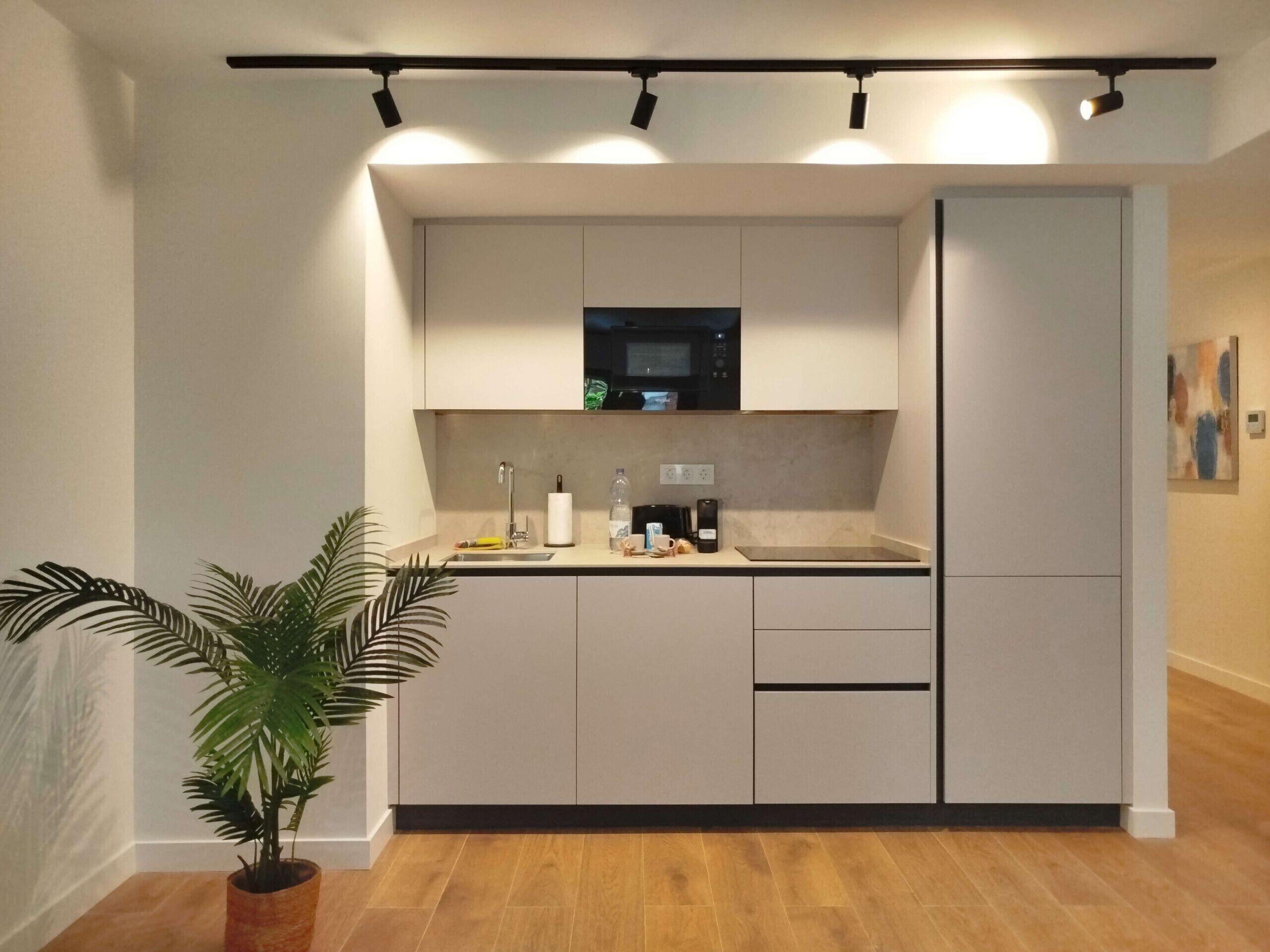 Fridge, microwave, oven, coffee/tea maker