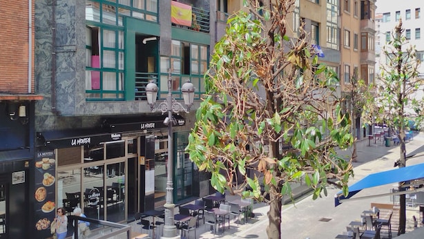 Vista de la calle con mesas al aire libre, un edificio con muchas ventanas y un árbol en primer plano.