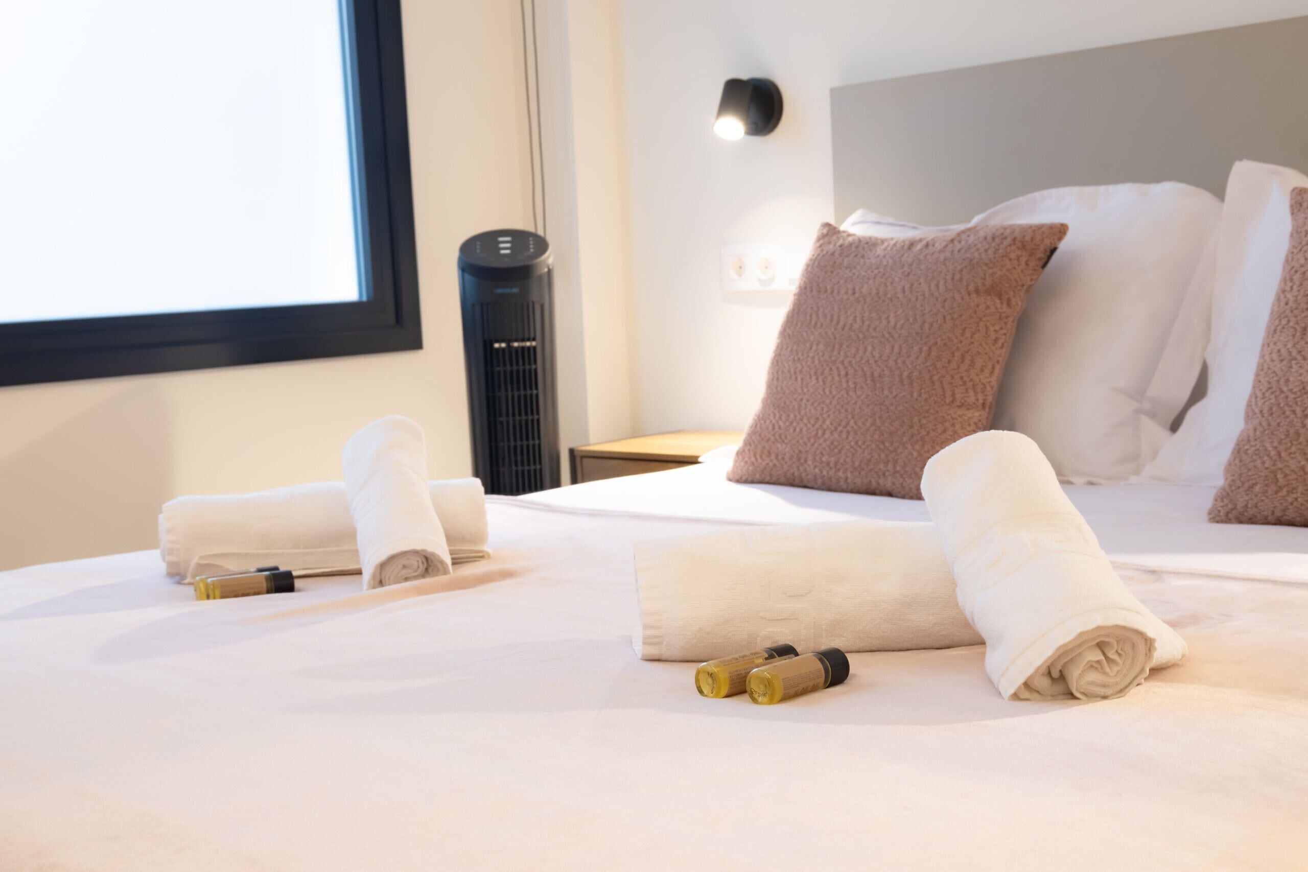 Fer et planche à repasser, Wi-Fi gratuit, draps fournis